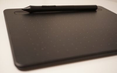 How Much Input Should I Have In Web Design?